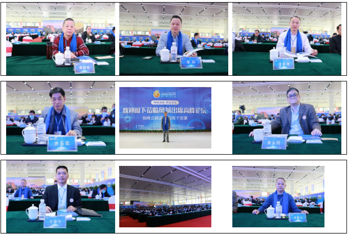 挖掘機(jī)伸縮臂 挖掘機(jī)伸縮臂